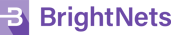 BrightNets_lockup_purple-1